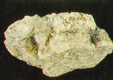 Quartz aurifère, de la collection minéralogique du musée Redpath