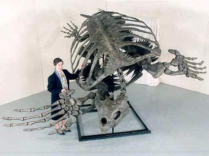 Archelon turtle