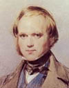 Darwin photo
