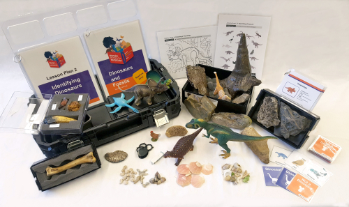 Content of the dinosaur and fossils box