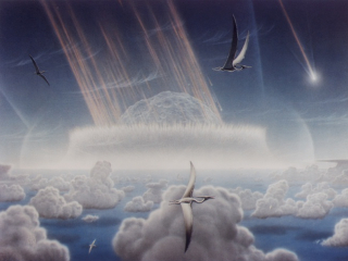 Meteorites and birds in the sky