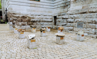 Mineralogical Garden outside the museum