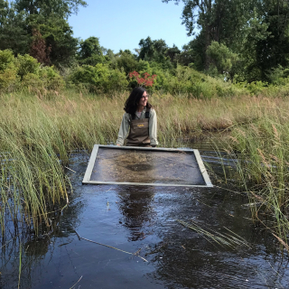 Our toad survey's often take place in hip-deep marshes!