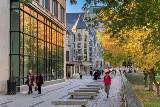 tall glass windows reflecting the trees in the fall season