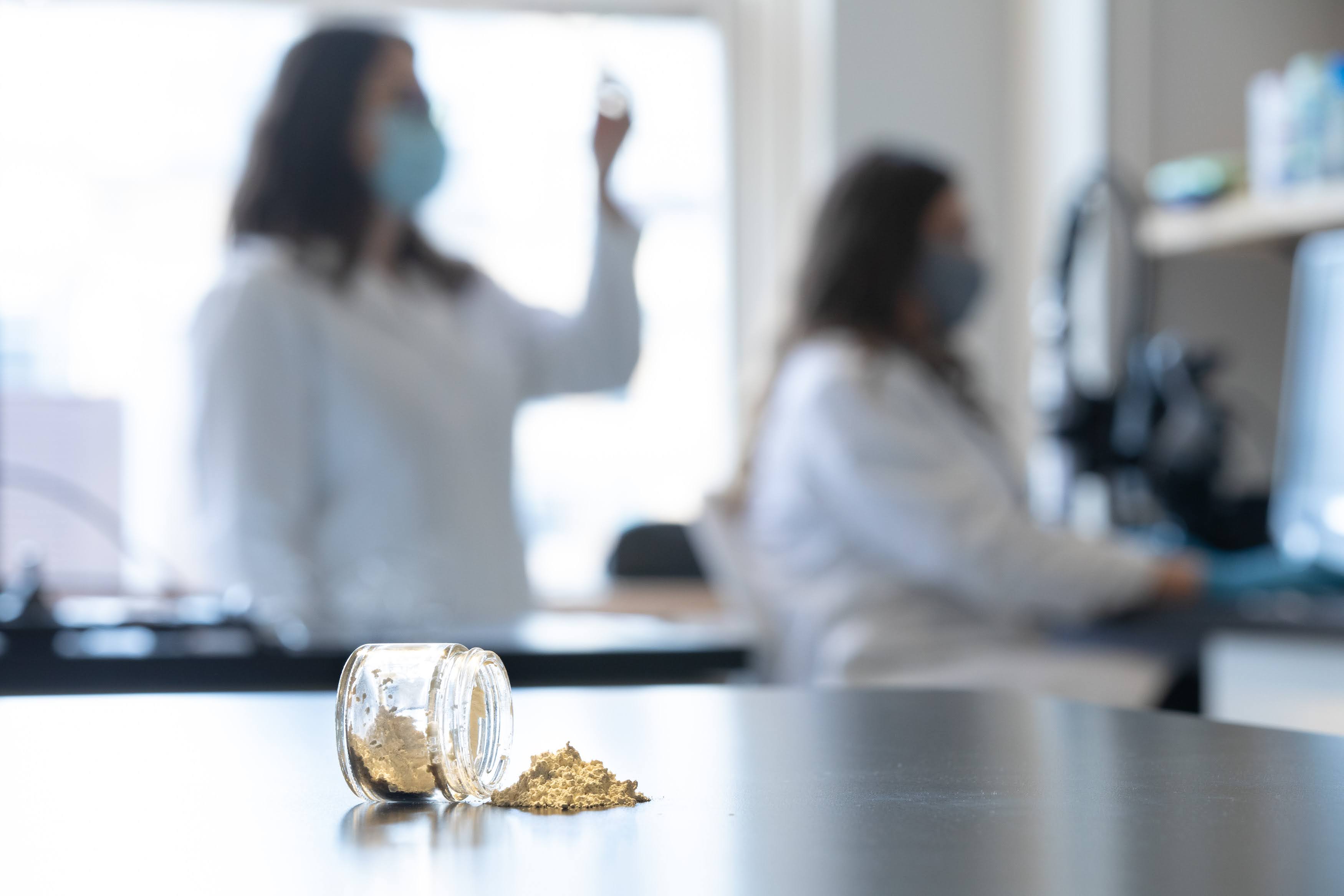 Two lab technicians examining beige powder