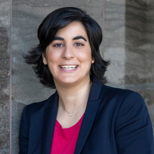 Professor Nathalie Tufenkji