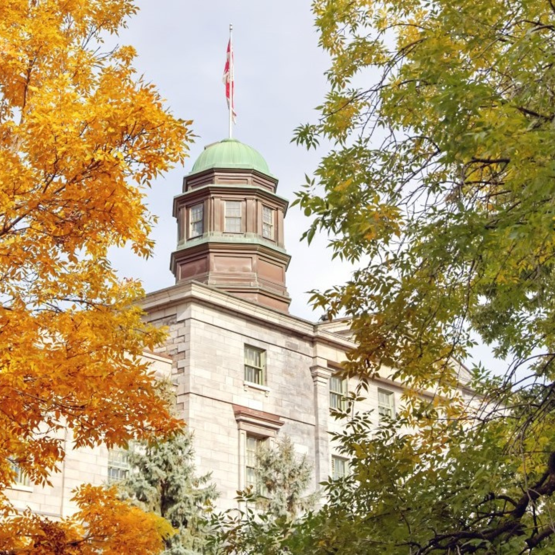 McGill cupola in the fall