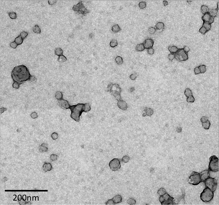 Microsopic nanoparticles