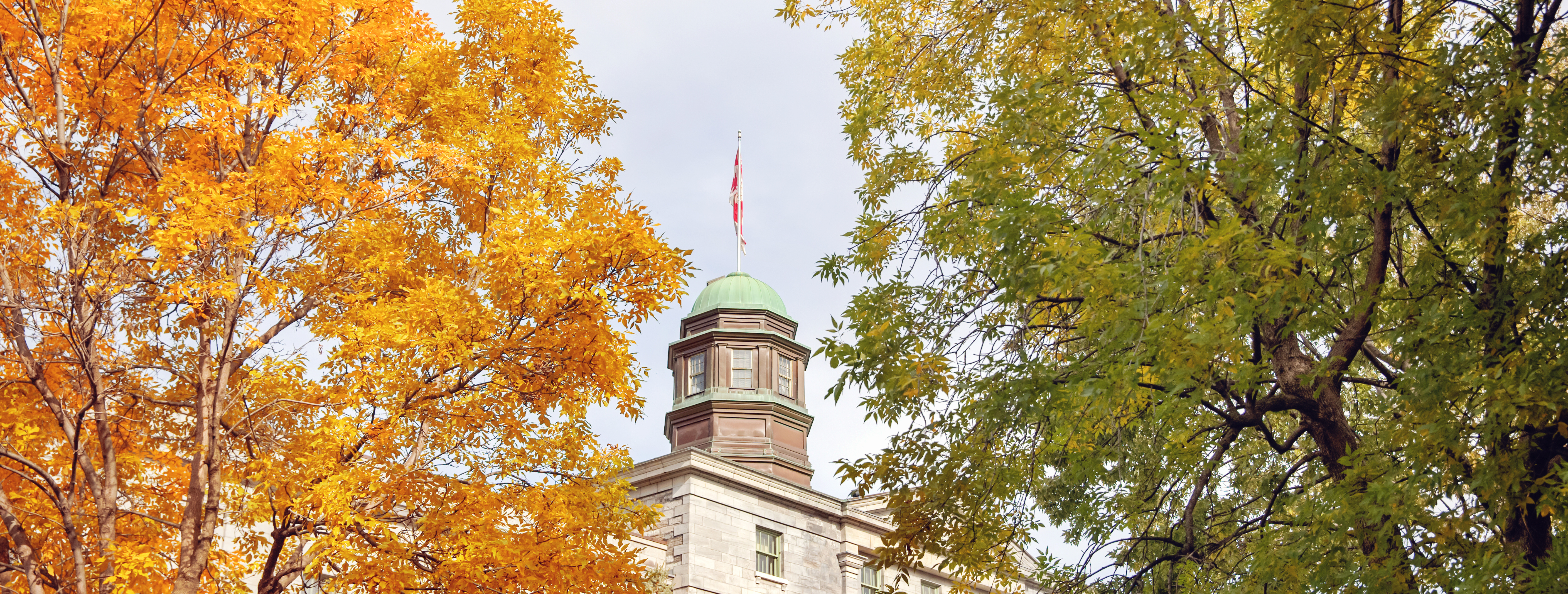 McGill's Art Building Coppola and Flag behind autumn coloured trees