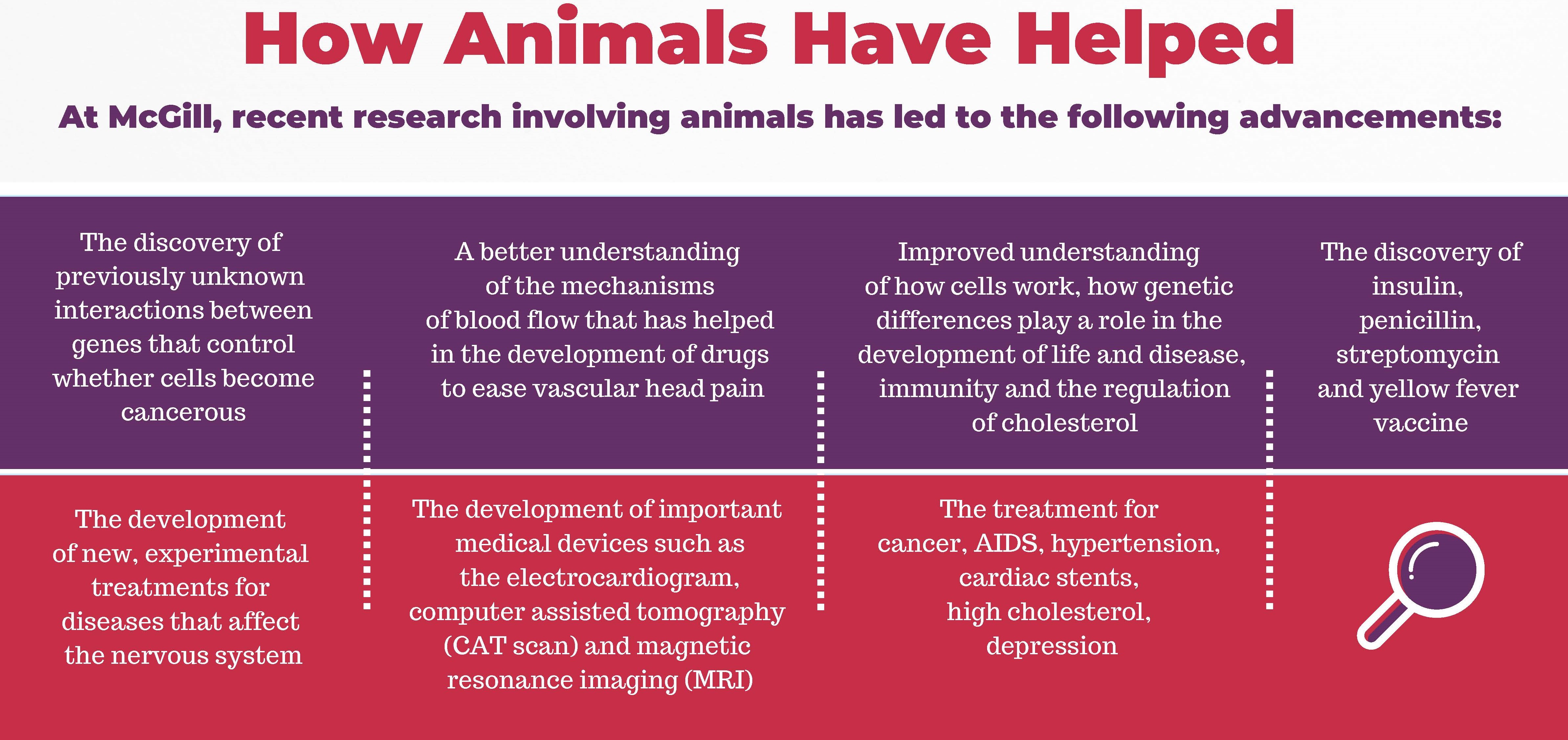 a graphic explaining how research on animals has led to many medical advancements