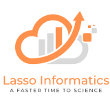 Lasso Informatics logo