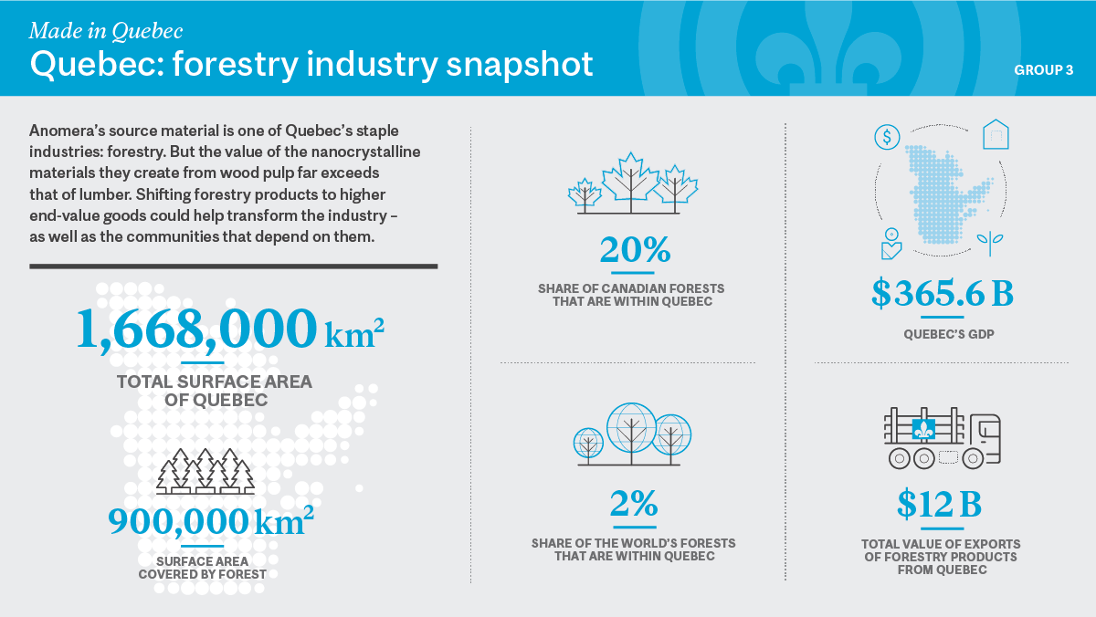 an infographic showing a snapshot of Quebec's forestry industry