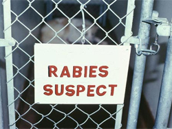 a sign that says, "rabies suspect"