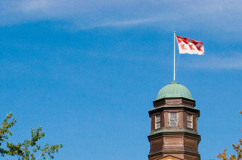 McGill's flag in the wind