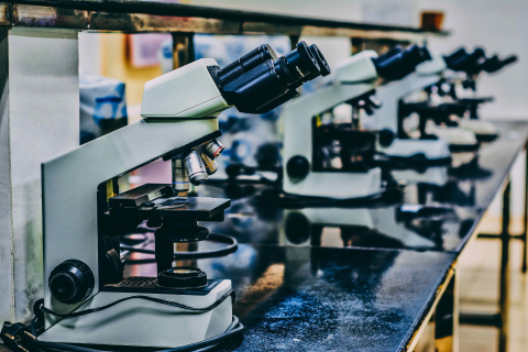 Microscopes lined up on a black table