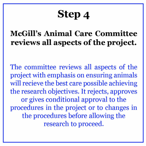 Step 4: McGill's Animal Care Committee reviews all aspects of the project