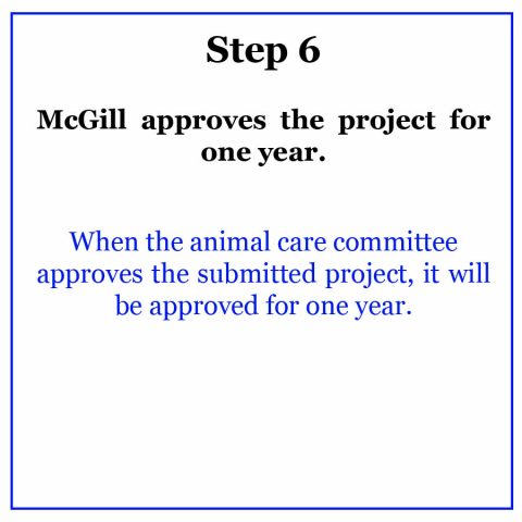 McGill approves the project for one year