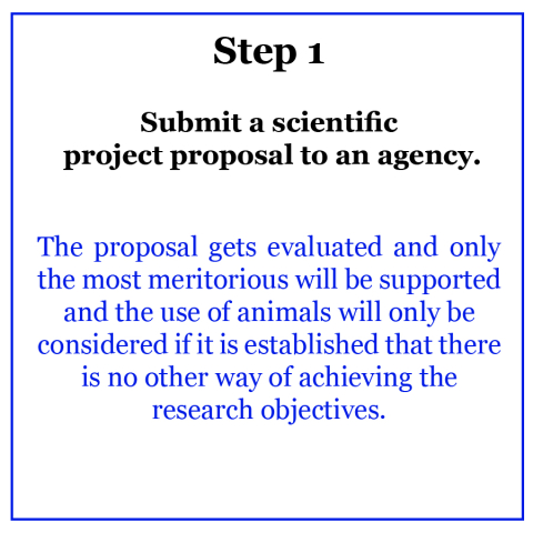 Step 1: Submit a scientific project proposal to an agency