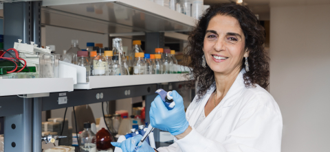 Dr. Nada Jabado smiling at the camera while working in her lab