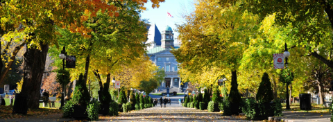 McGill downtown campus Tree-lined path to the Arts Building at the McGill downtown campus. The McGill flag flies in the distance.