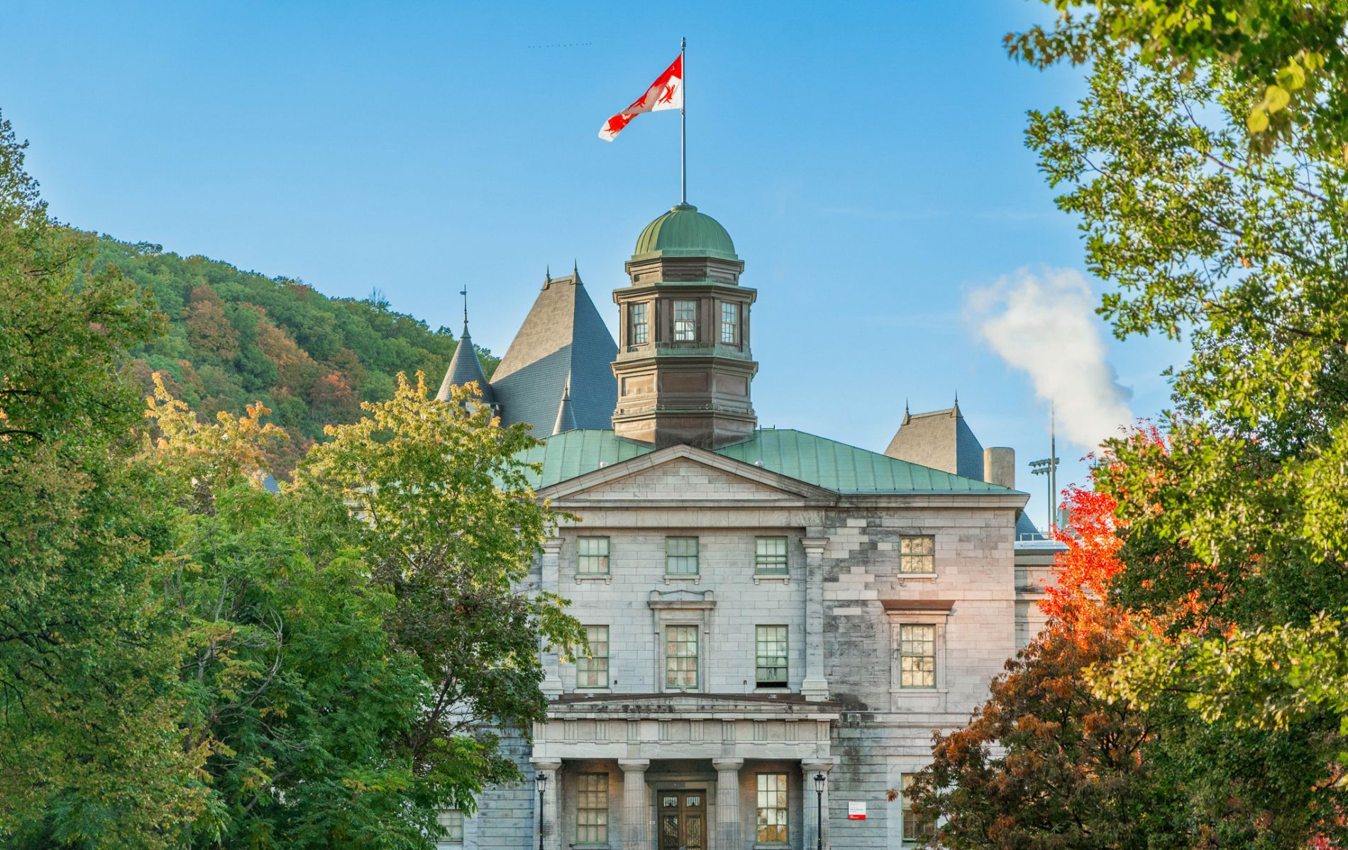 Arts building in the summer