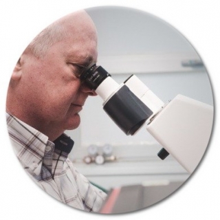 Dr. Guy Rouleau looks into a microscope. 