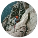 Man conducting research on seabird colony ledge representing theme 3