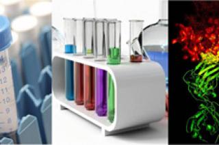 Trio of Lab Pics