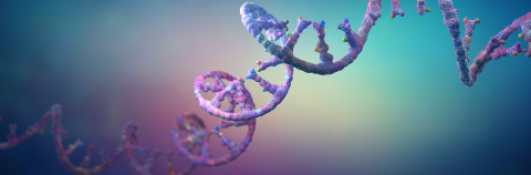 Ribonucleic acid strands consisting of nucleotides - 3d illustration