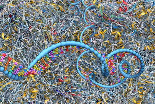 Ribosome as part of an biological cell constructing messenger rna molecules - 3d illustration