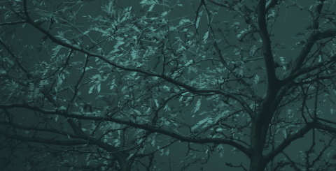 Tree branches with a blue filter