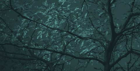 Tree branches with a blue filter
