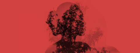 Woman's silhouette overlaid with tree branches and a monochrome red filter