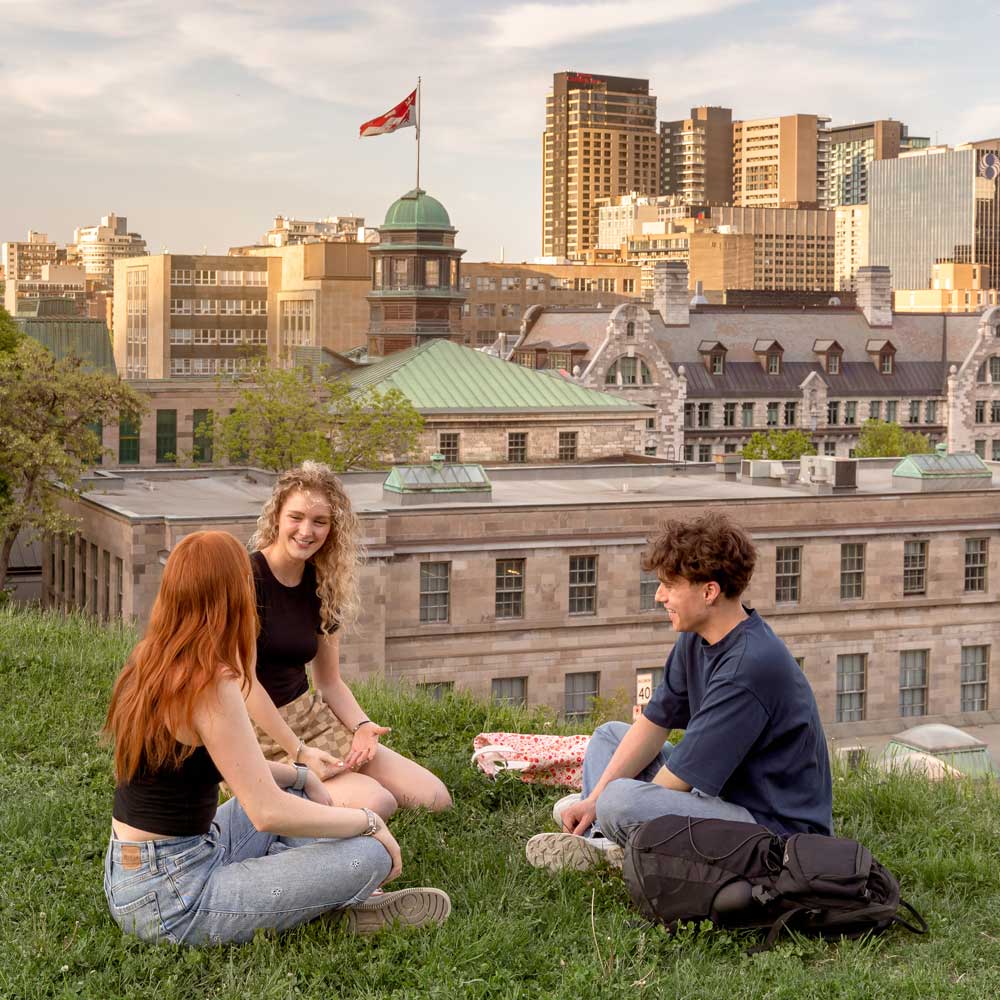 A group of students sitting on grass in front of a city