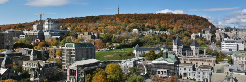 Aerial view of McGill campus
