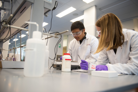 Two scientists pose for a photo in a lab