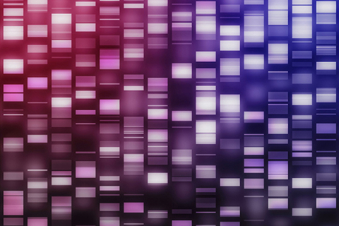 Genetic sequencing 