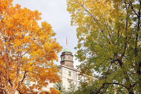 McGill cupola