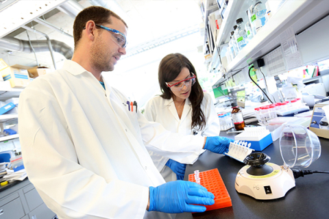 Un chercheur et une chercheuse en laboratoire