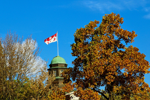 McGill cuppola and flag
