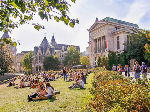 Buildings on McGill campus overlooking green field with lots of students sitting