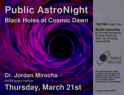 Black Holes at Cosmic Dawn Poster