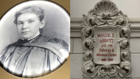 Plaque bearing Maude Abbott's name
