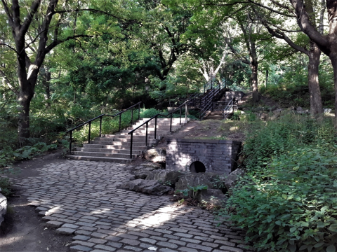 Steps leading to Mount Royal