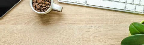 Desk with plant and coffee beans on it.