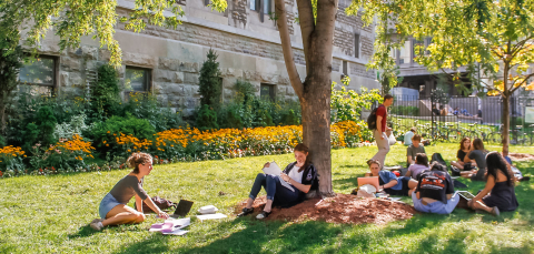 Student sitting on grass, McGill campus rudbeckia garden.
