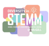 logo du Diversité STIMM- lettres blanches sur des blocs colorés.