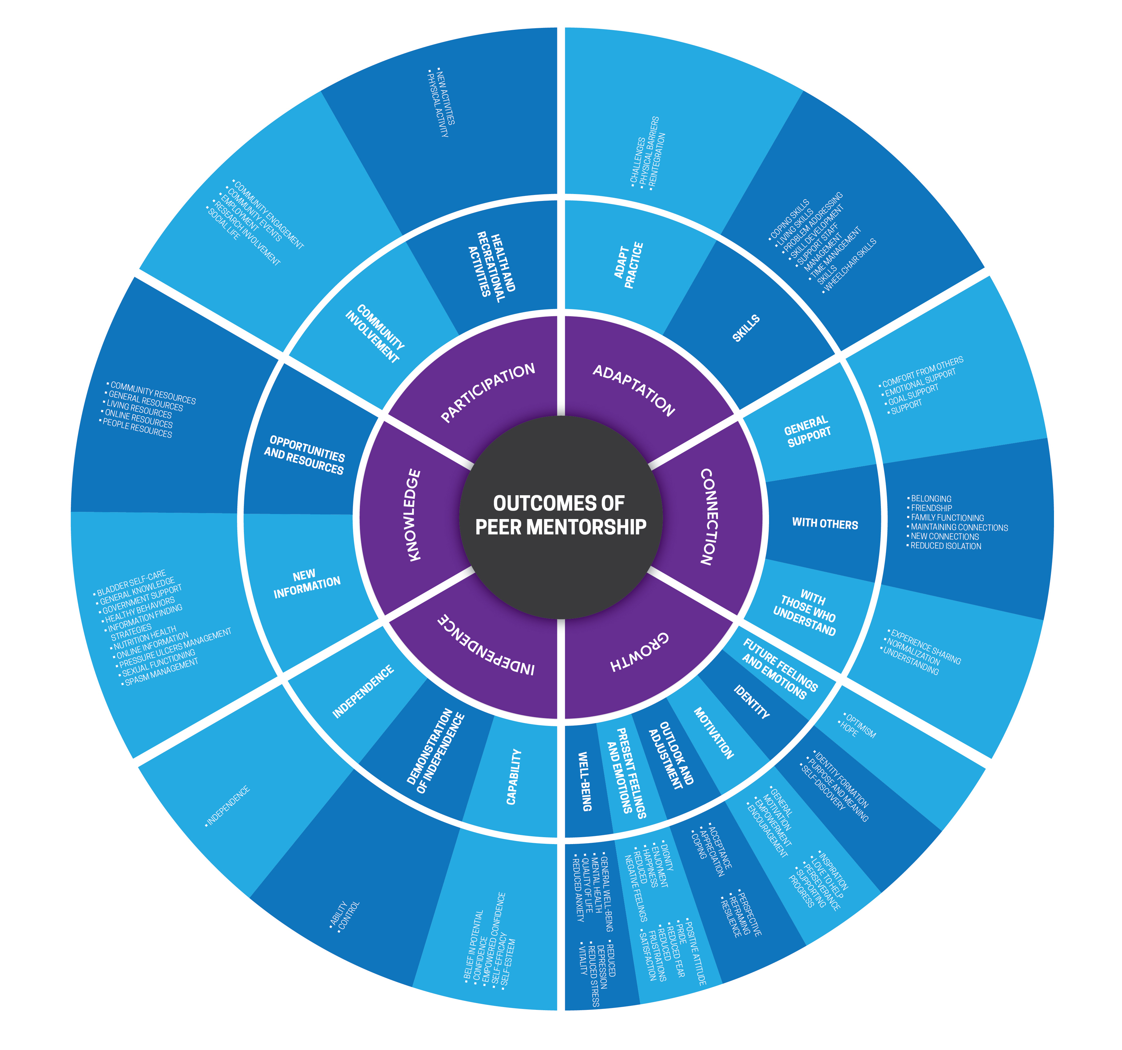 Chart - SCI Peer Support Evaluation Tool
