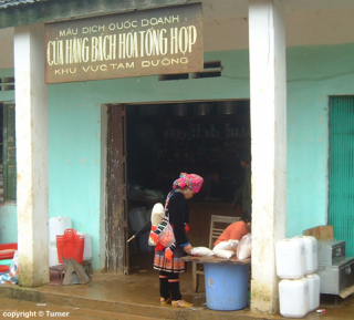 Hmong women