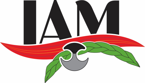 Indigenous Access McGill logo.